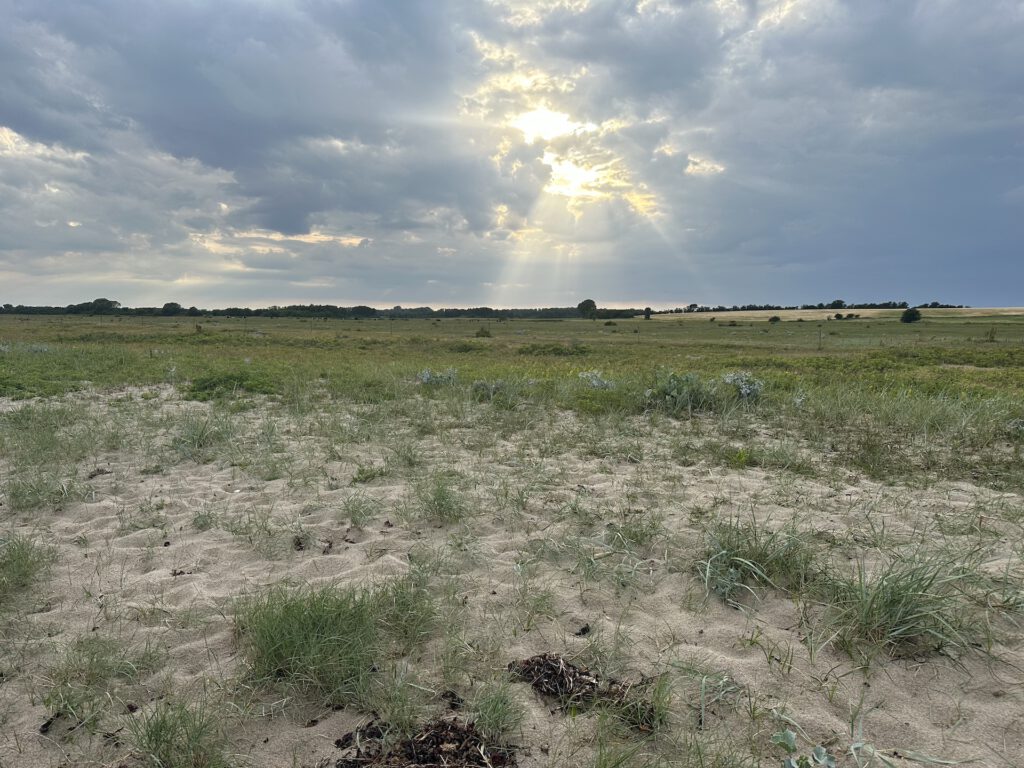 Vanlife Dänemark Im Van um die Ostsee Flovt Strand 3