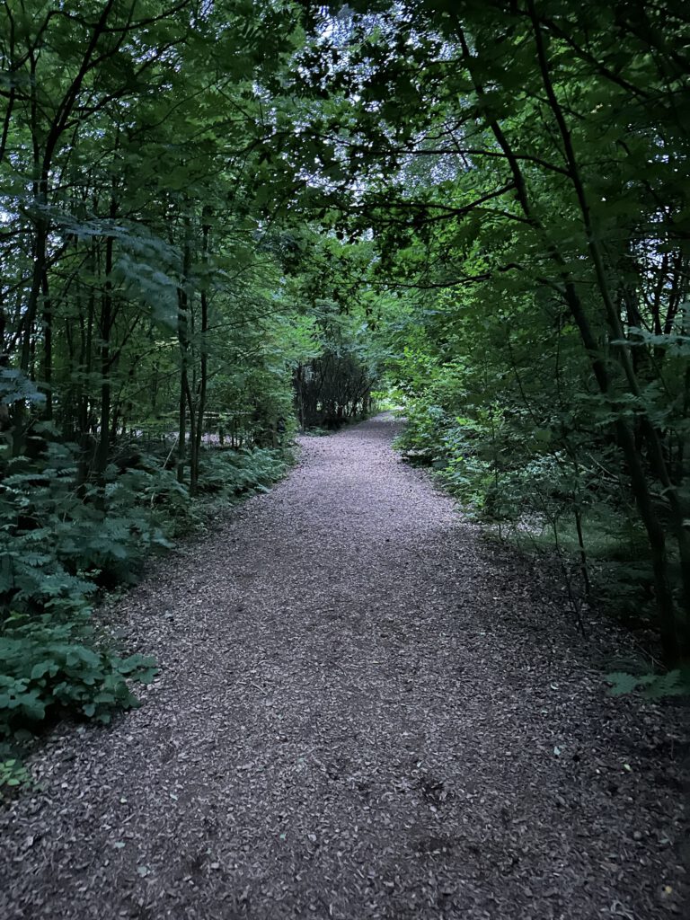 Vanlife Deutschland Niedersachen Schleswig-Holstein Tister Bauernmoor