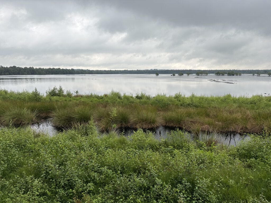 Vanlife Deutschland Niedersachen Schleswig-Holstein Tister Bauernmoor 8