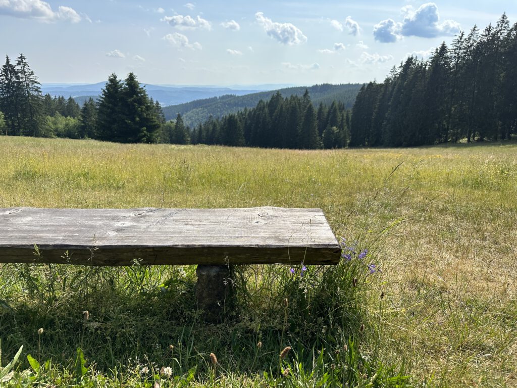 Im-Van-um-die-Ostsee-Vanlife-Deutschland-Thueringer-Wald-Natur