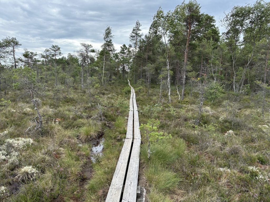 Vanlife Schweden Store Mosse Nationalpark Wanderung Steg