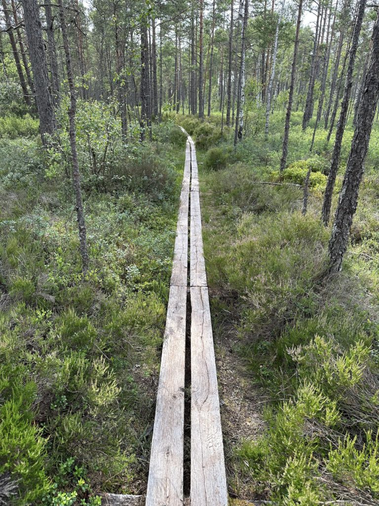 Vanlife Schweden Store Mosse Nationalpark Wanderung Steg 3